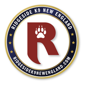 Fundraising Page: Jenna Martinese